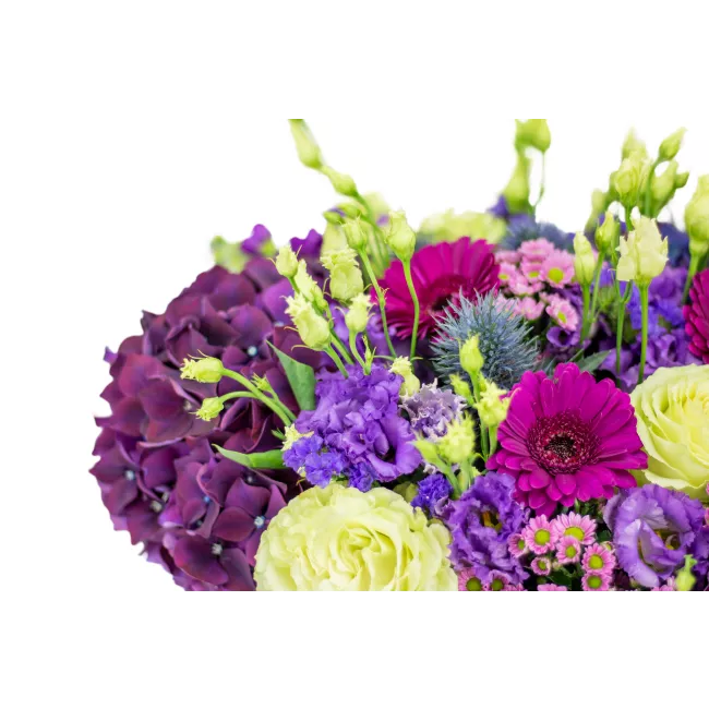 Box fialových květin